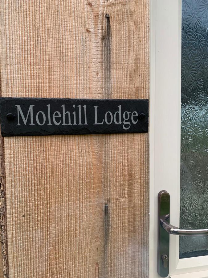 Molehill Lodge Суонзи Екстериор снимка
