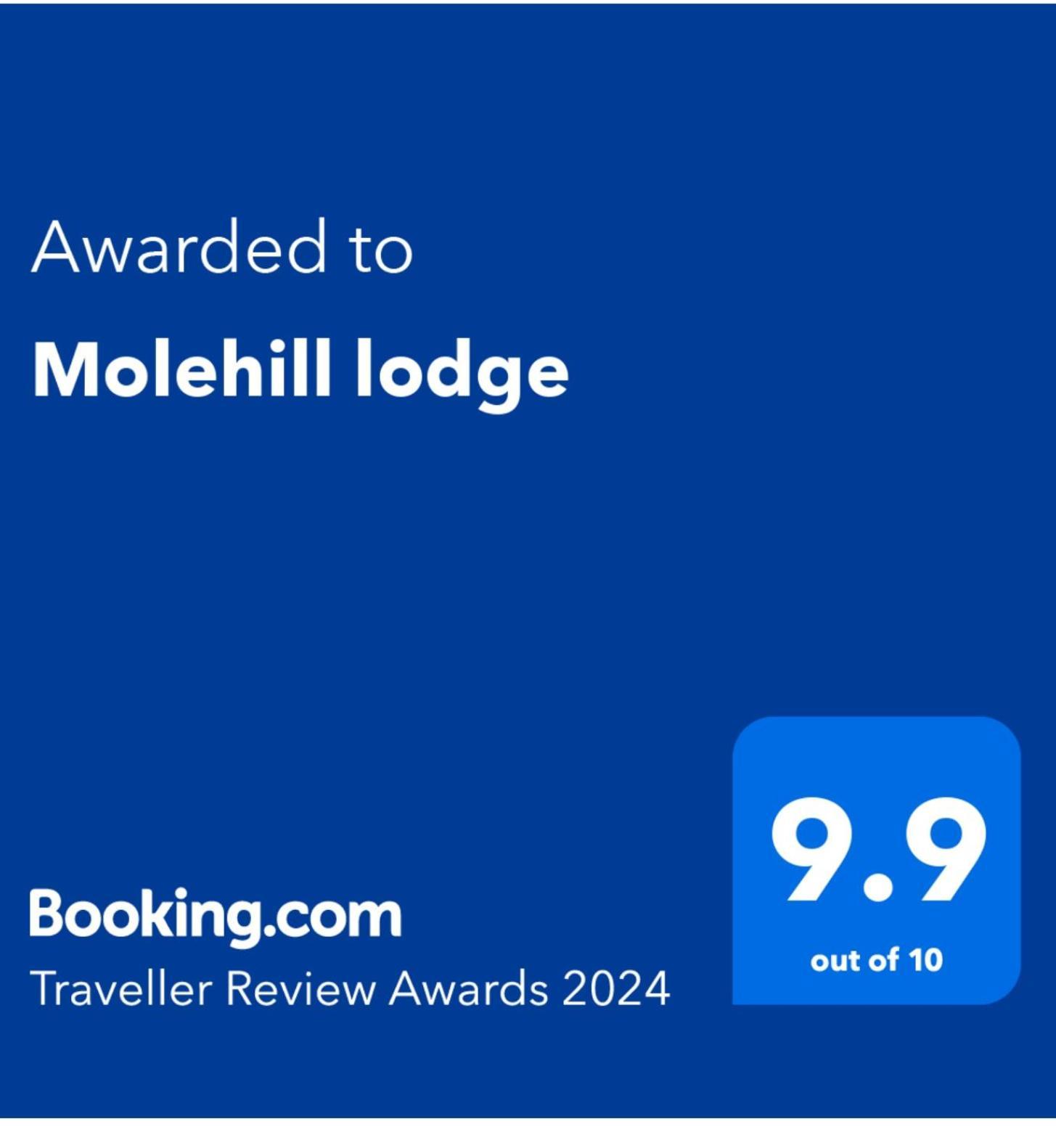 Molehill Lodge Суонзи Екстериор снимка