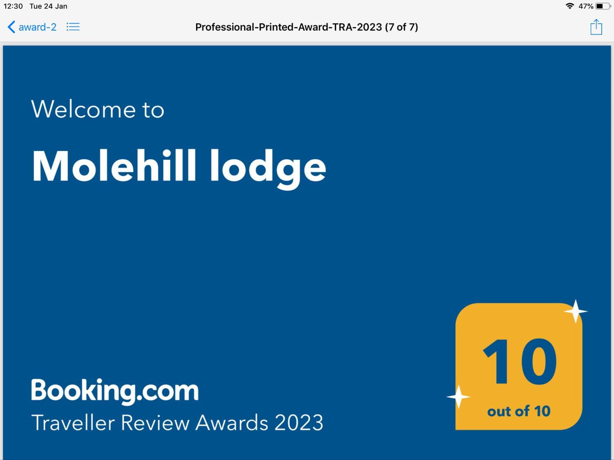 Molehill Lodge Суонзи Екстериор снимка